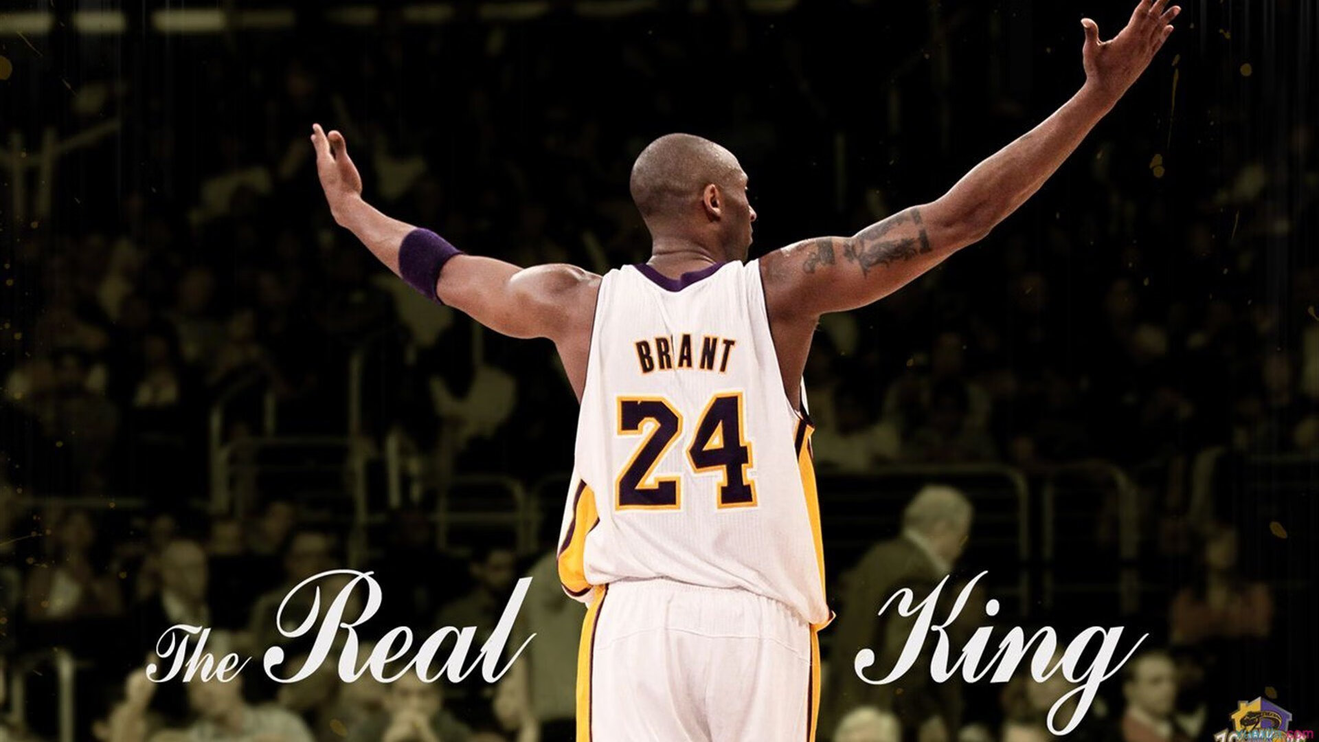 森林狼主场逆转唐斯关键表现，森林狼主帅